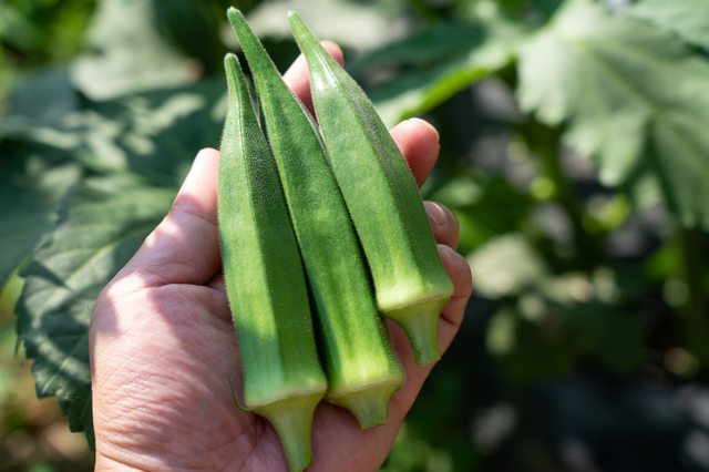 素材へのこだわり